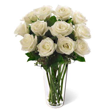 15 Fresh White Roses