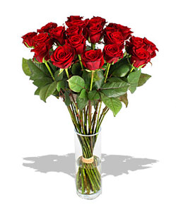 17 Fresh Red Roses Bouquet